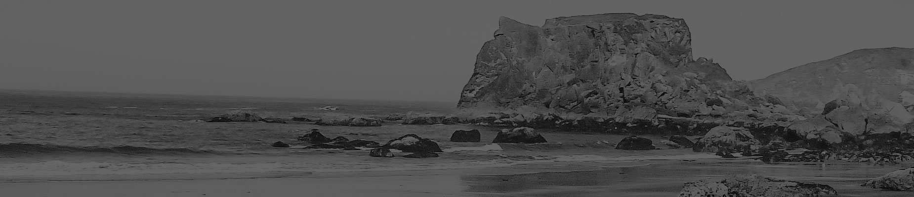 Downloads bg